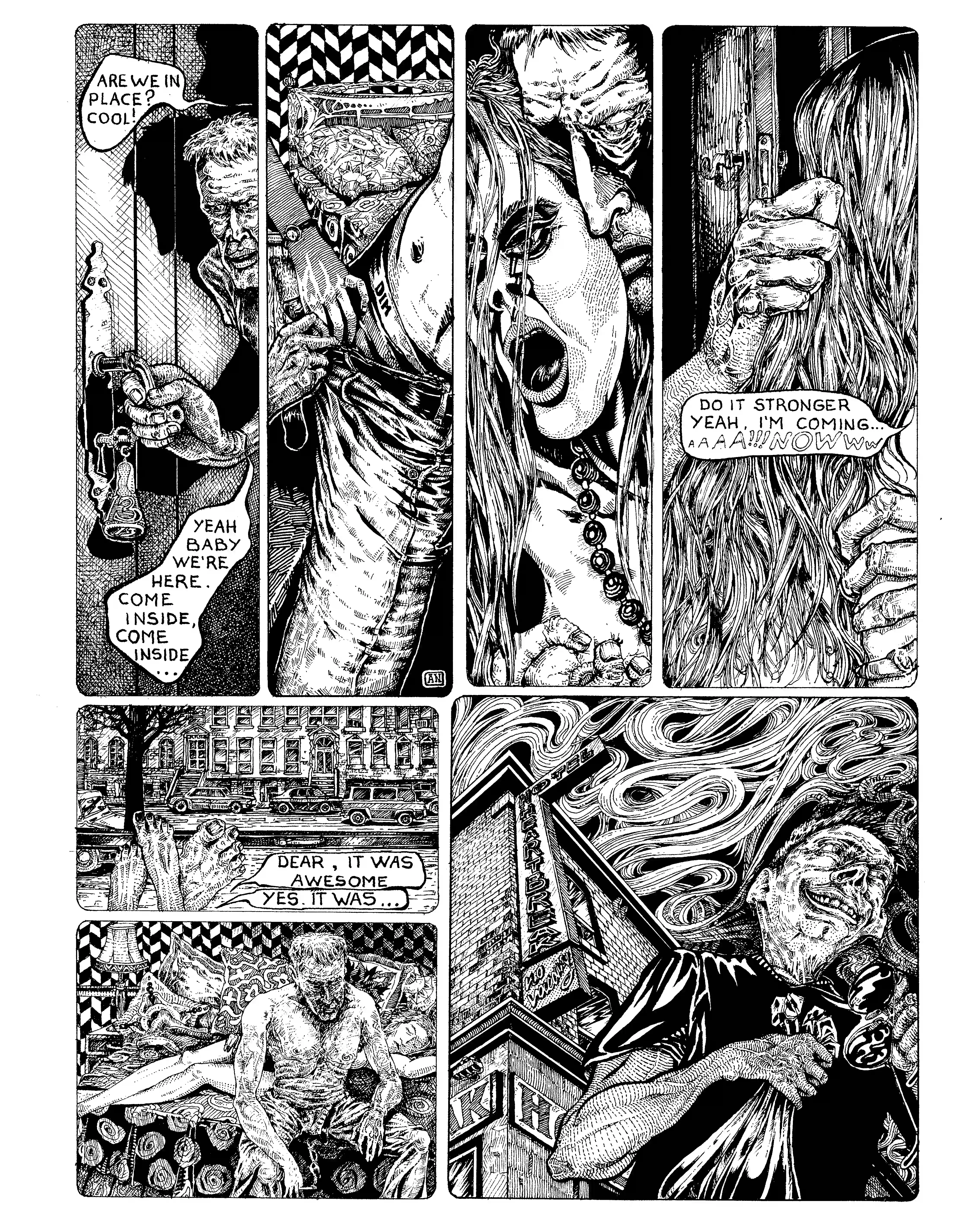 Page 3 of The Hair.